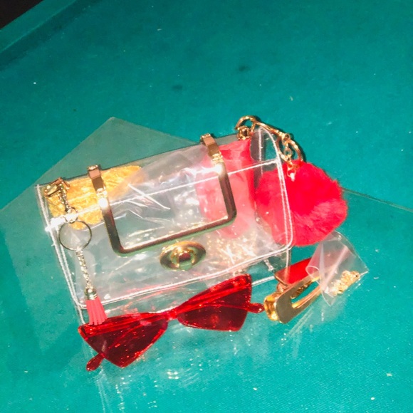 Transparent Purses - Picture 7 of 13